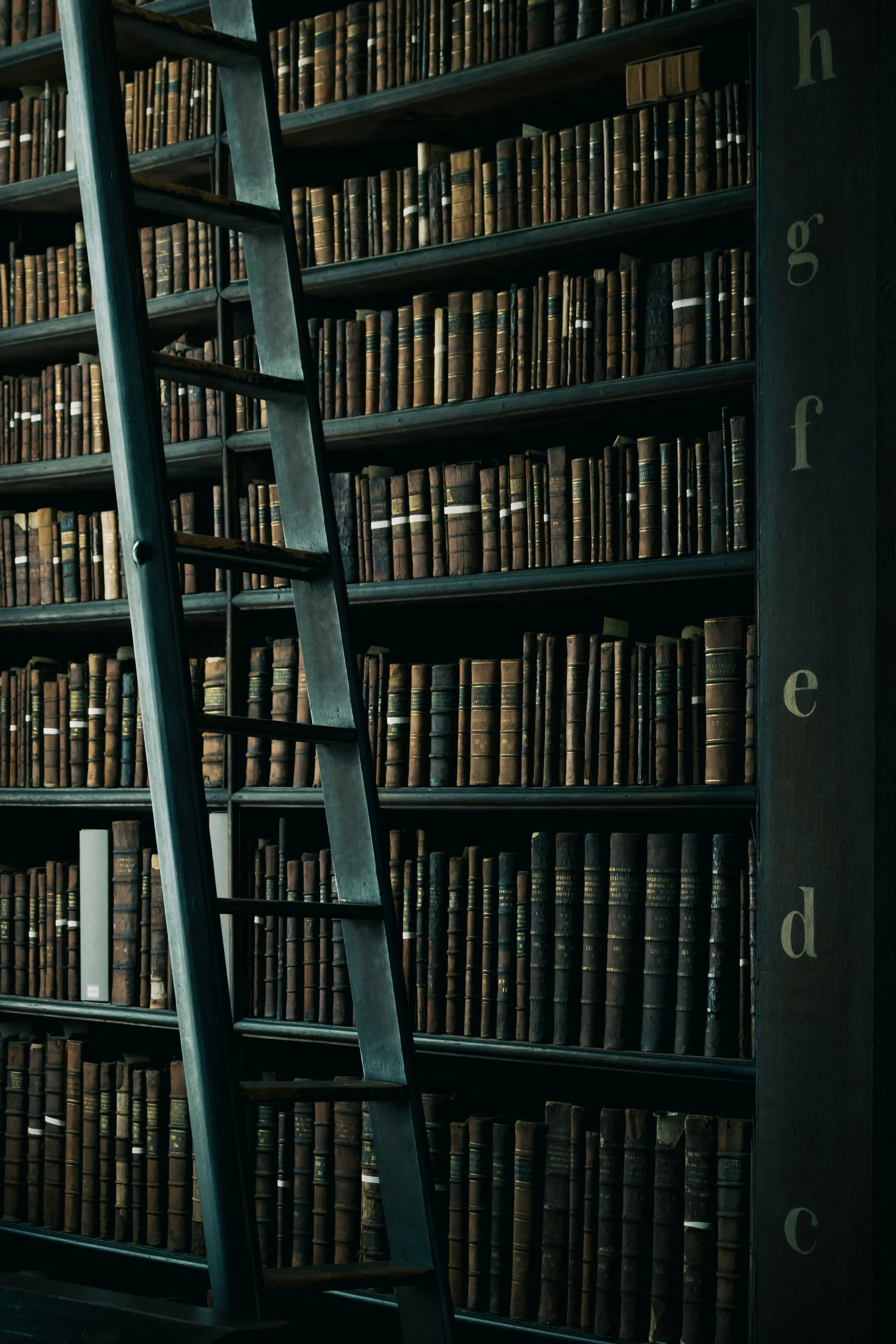 Una libreria colma di vecchi tomi